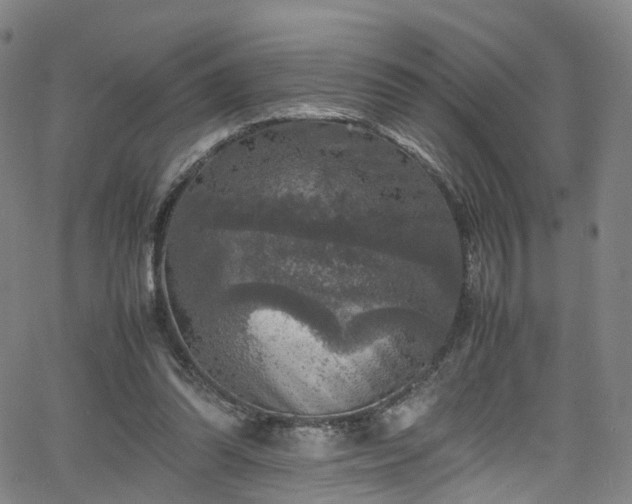 X0000065980302200603101429