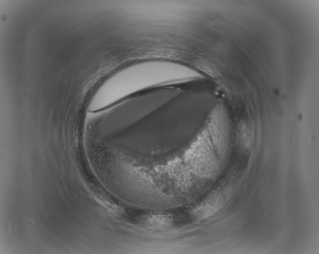 X0000065980303200603101429