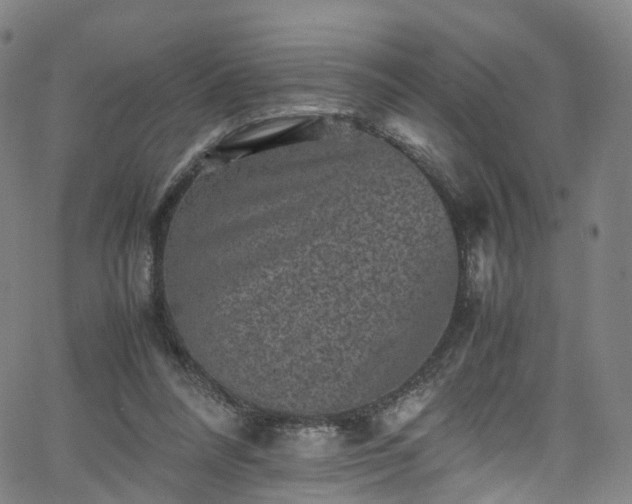 X0000065980304200603101429