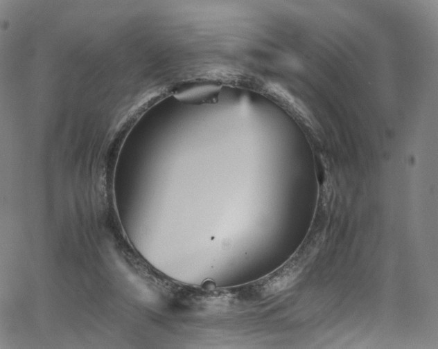 X0000065980306200603101429