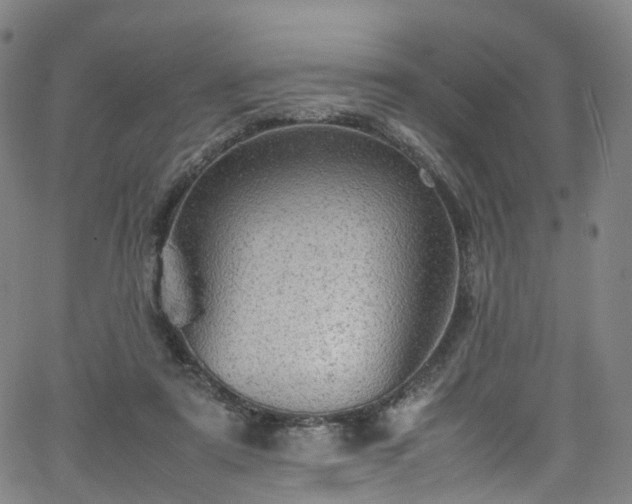 X0000065980307200603101429