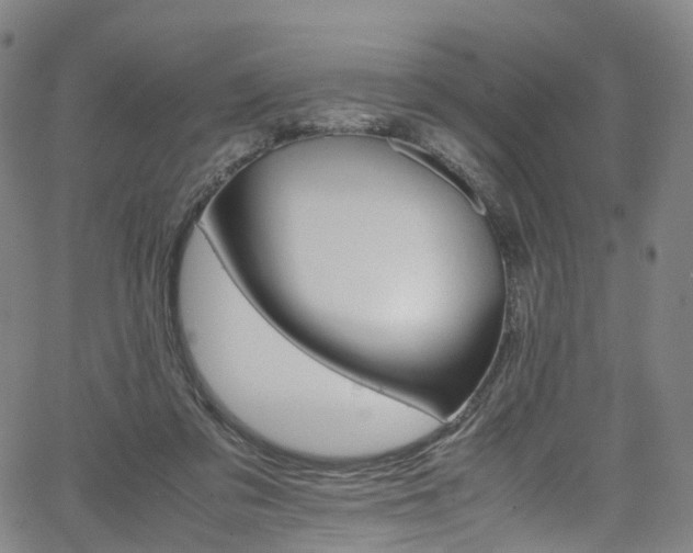 X0000065980309200603101429