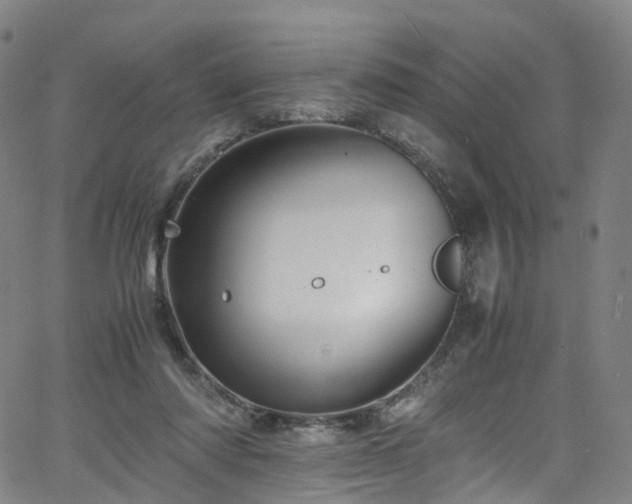 X0000065980310200603101429