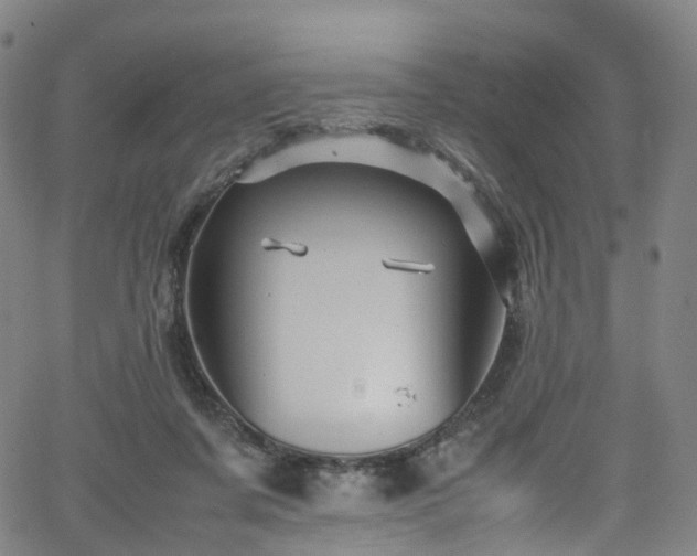 X0000065980311200603101429