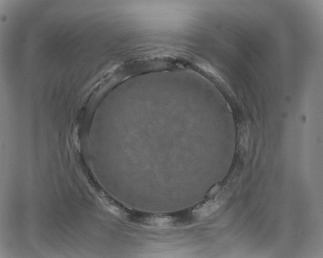 X0000065980313200603101429