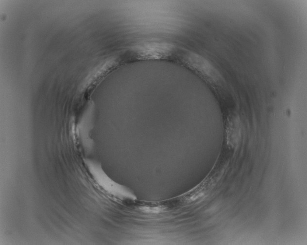 X0000065980314200603101429