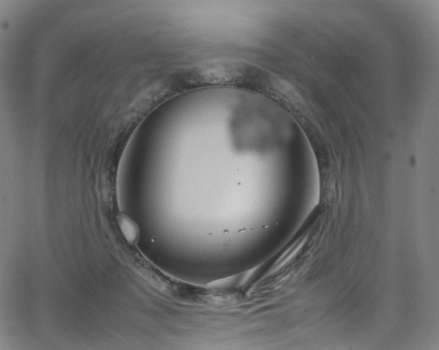 X0000065980317200603101429