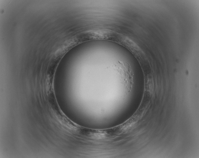 X0000065980318200603101429