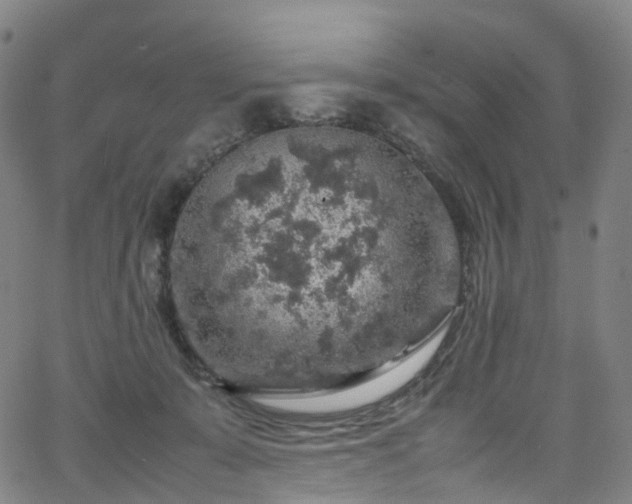 X0000065980319200603101429