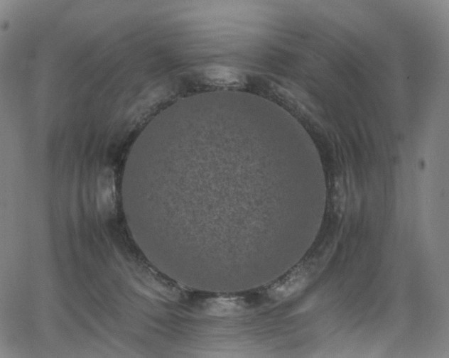 X0000065980320200603101429