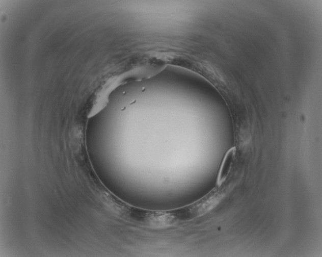 X0000065980321200603101429