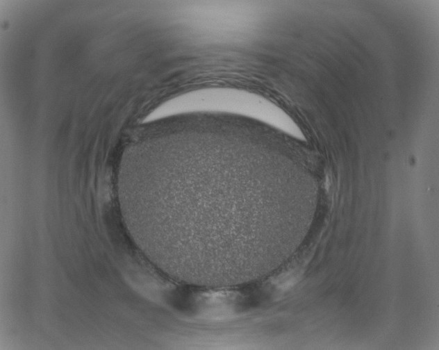 X0000065980323200603101429