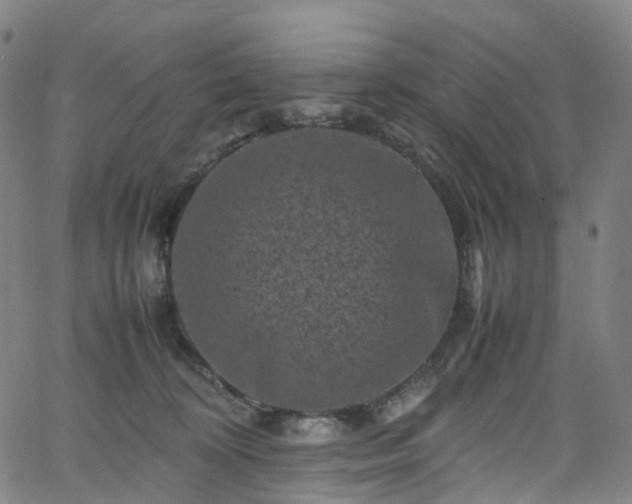 X0000065980324200603101429