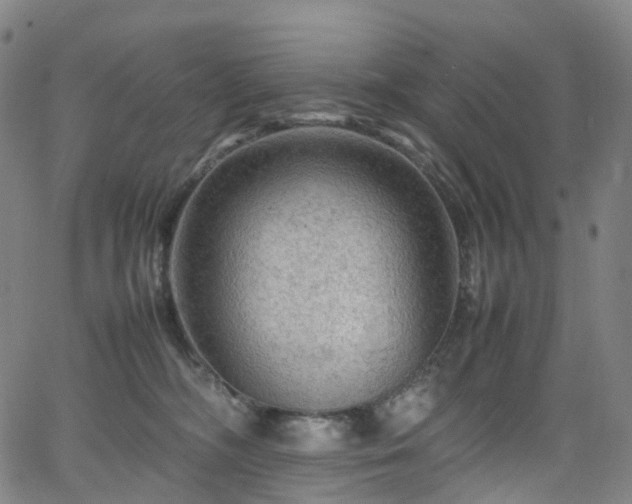 X0000065980326200603101429