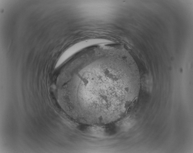 X0000065980327200603101428