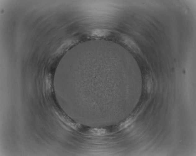 X0000065980328200603101428