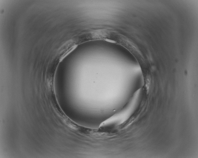 X0000065980329200603101428