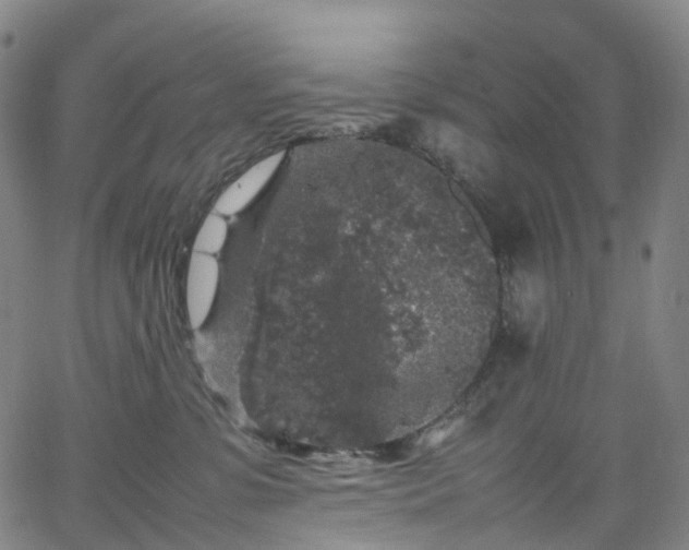 X0000065980331200603101428