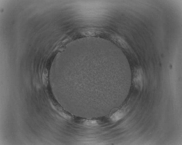 X0000065980332200603101428