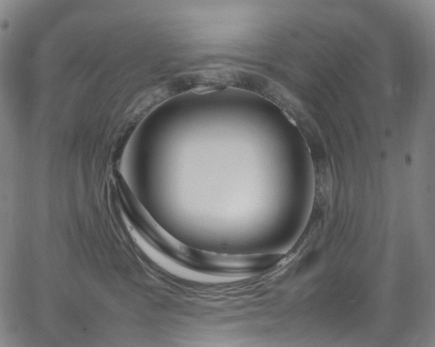 X0000065980333200603101428