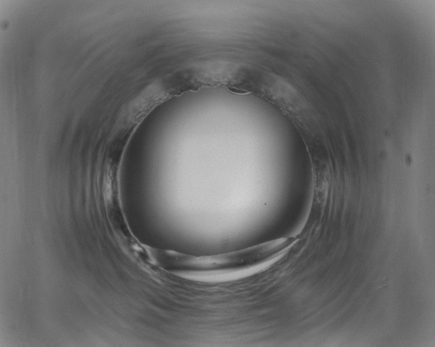 X0000065980334200603101428