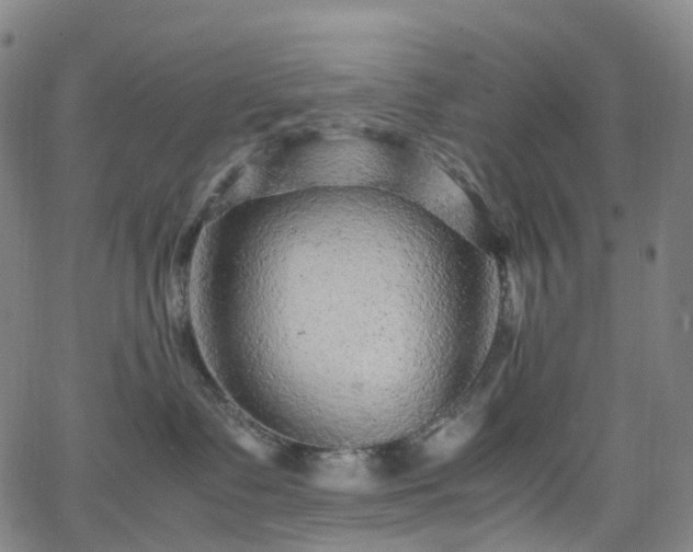 X0000065980335200603101428