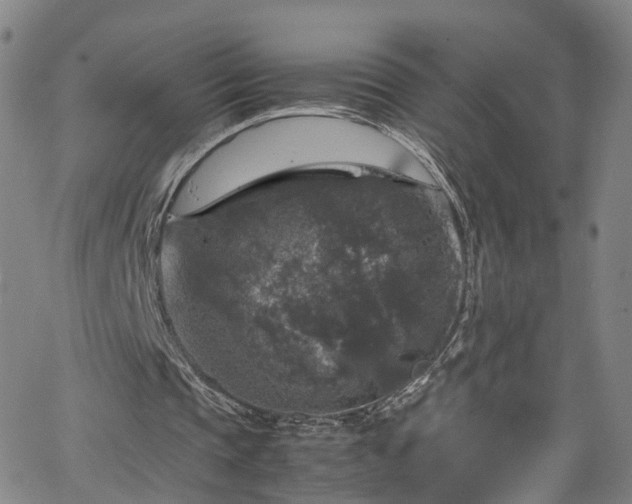 X0000065980337200603101428