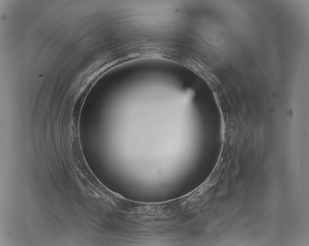 X0000065980338200603101428