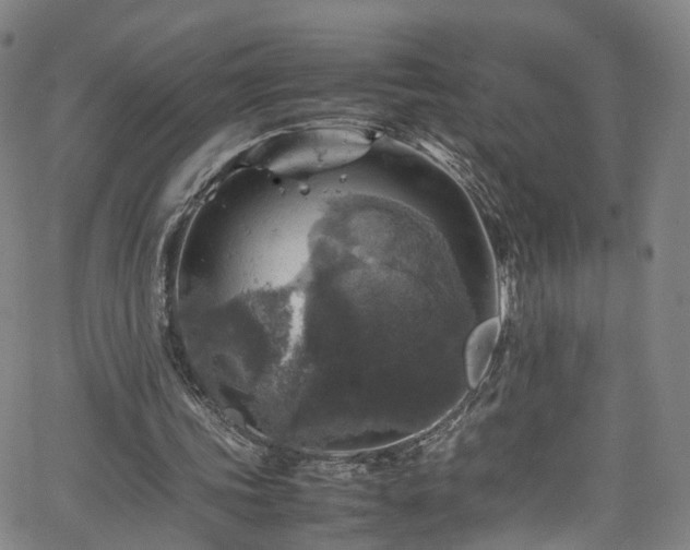 X0000065980339200603101428