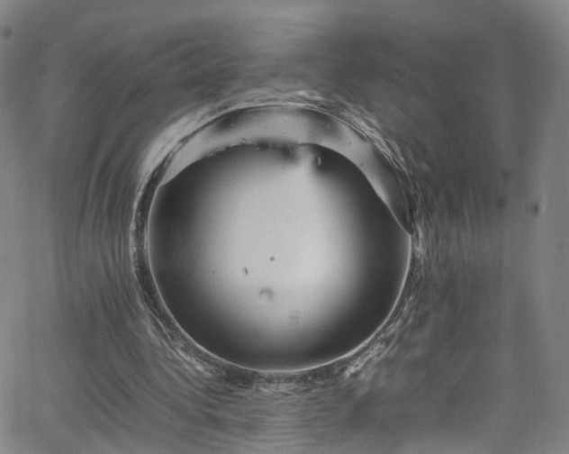 X0000065980340200603101428