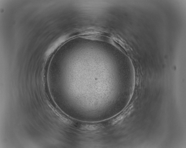 X0000065980341200603101428