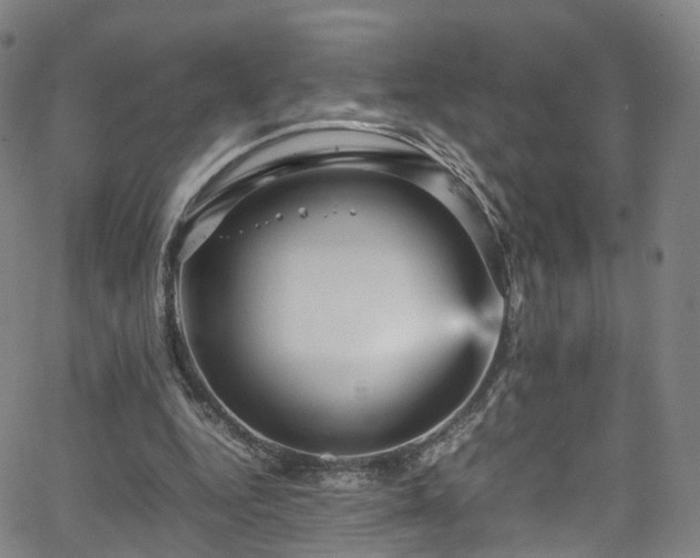 X0000065980344200603101428