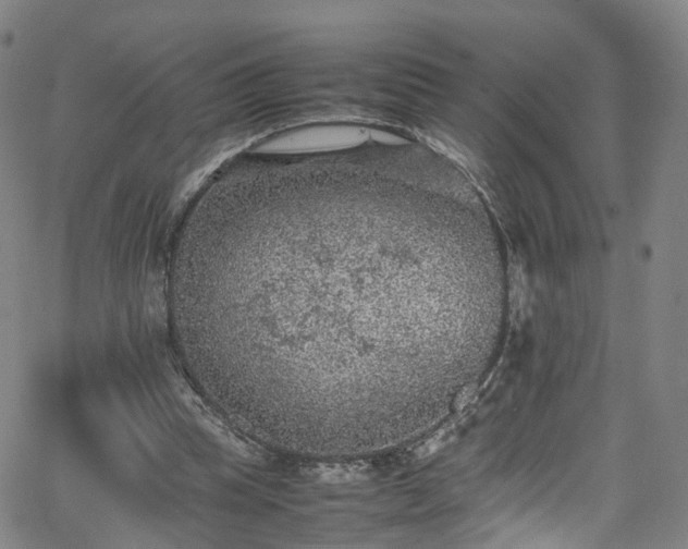 X0000065980345200603101428