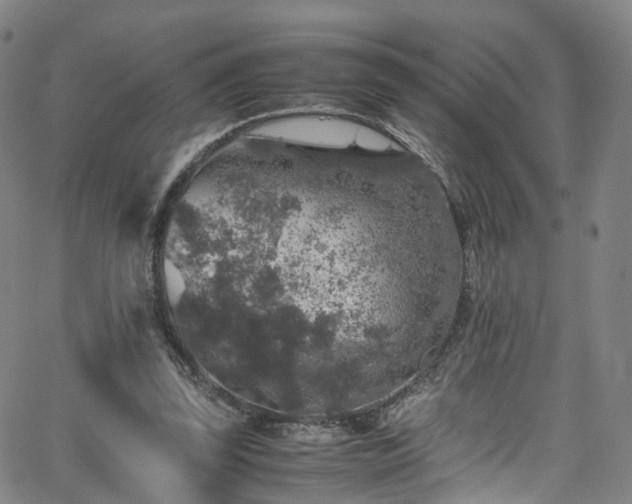 X0000065980347200603101428