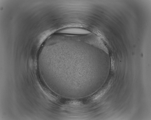 X0000065980348200603101428