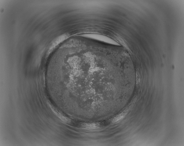 X0000065980349200603101428