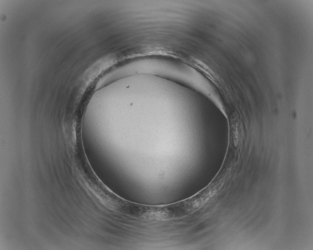 X0000065980350200603101428