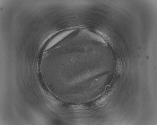 X0000065980351200603101428