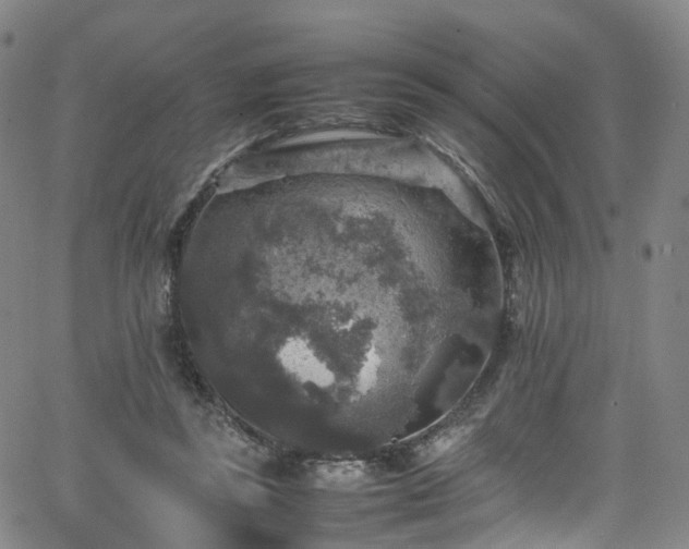 X0000065980355200603101428