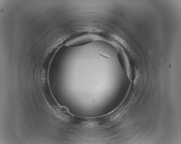 X0000065980356200603101428