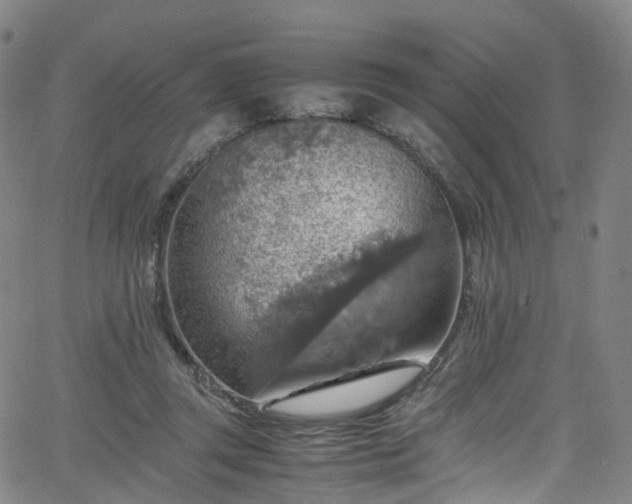 X0000065980357200603101428