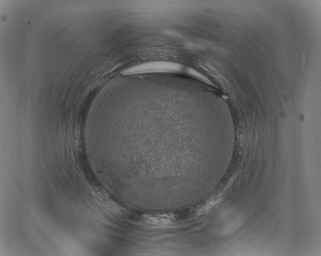 X0000065980359200603101428