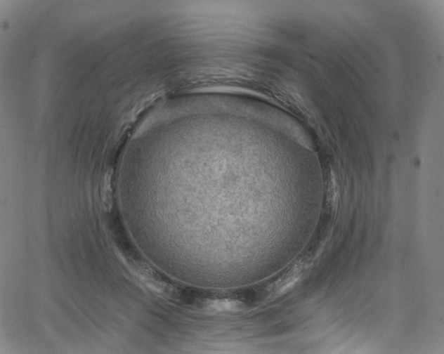 X0000065980360200603101428