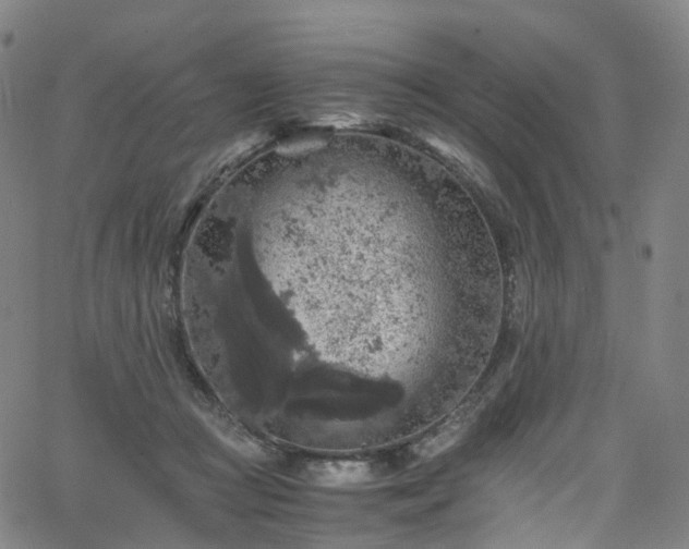 X0000065980361200603101428