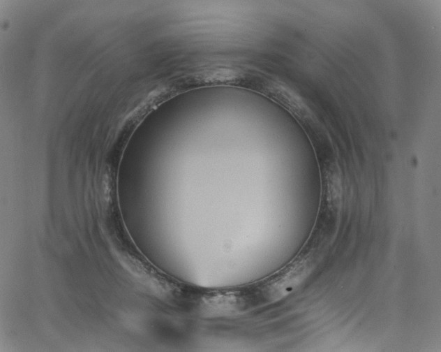 X0000065980362200603101428