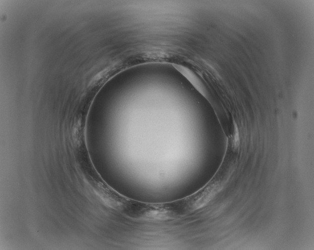 X0000065980364200603101428