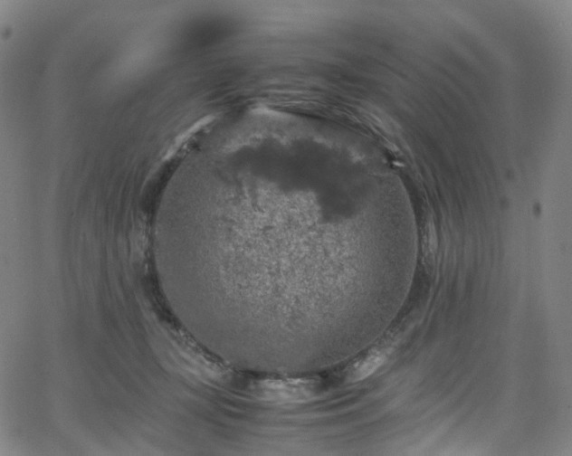 X0000065980367200603101428