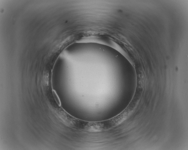 X0000065980368200603101428