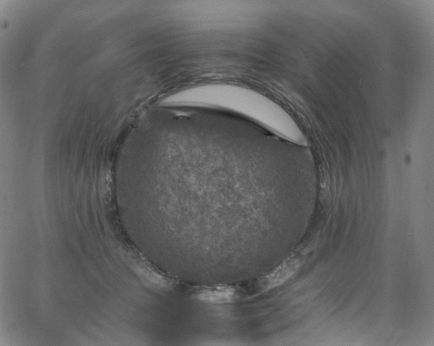 X0000065980369200603101428