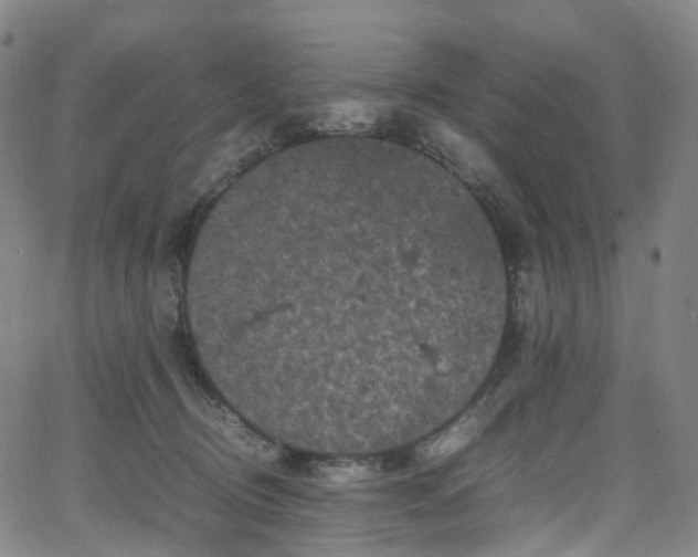 X0000065980370200603101428